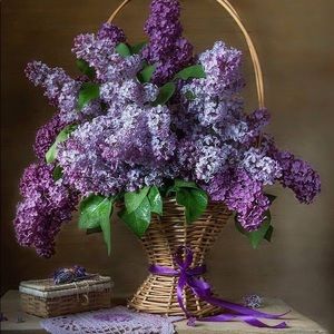 Meet your Posher, Sue